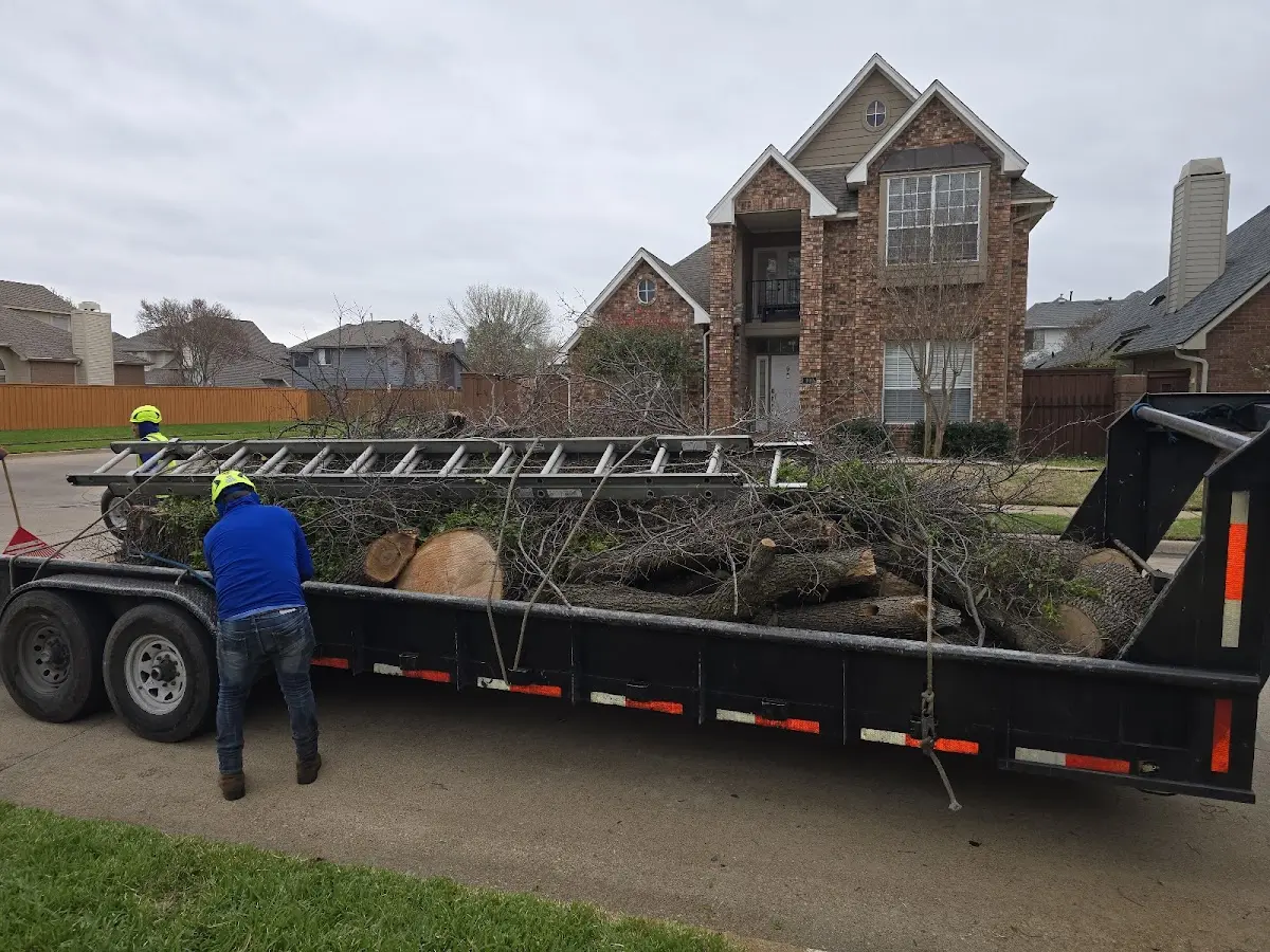 Expert Tree Removal with proper safety equipment in Antlers
